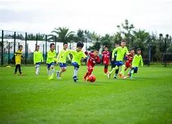 女排世俱杯,赛程揭晓,日巅峰对决,乐竞体育官网,LEJIN,Sports,足球直播,篮球赛事,体育高清,NBA直播