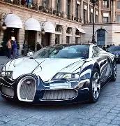 贺岁档,萌宠冒险电,营救汪星人,乐竞体育官网,LEJIN,Sports,足球直播,篮球赛事,体育高清,NBA直播