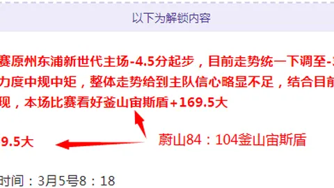 “2025职业网球赛事：意外启程的瞩目焦点”